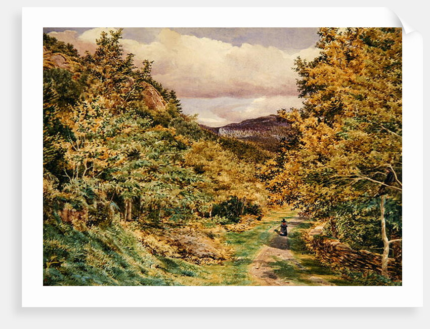A Road near Bettws-y-Coed, 1851 by George Price Boyce