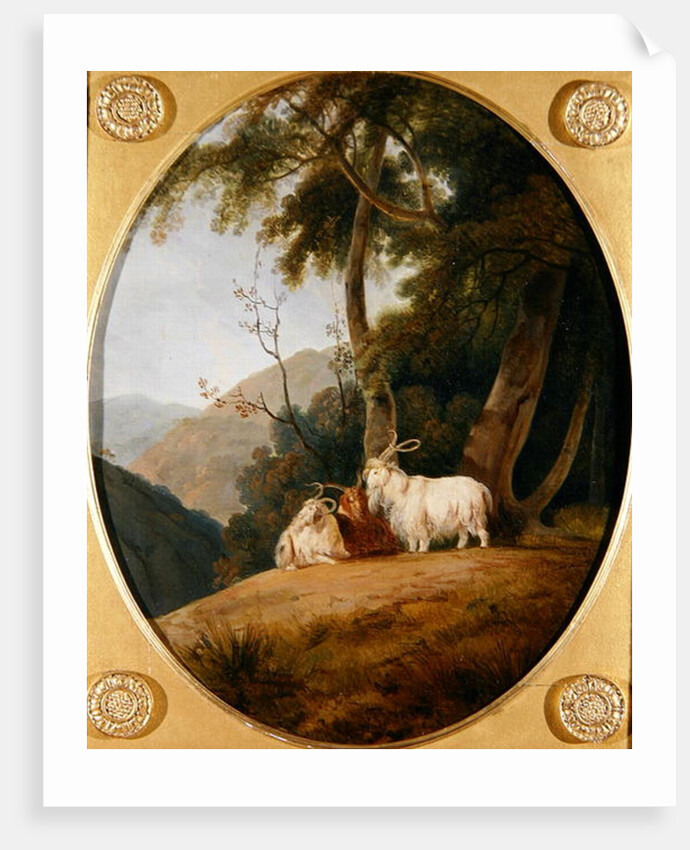 Kashmir Goats, c.1780-1820 by William Daniell