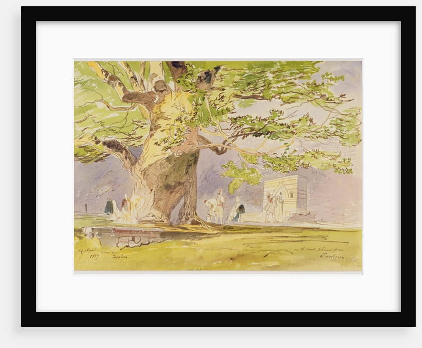 On the Road, Two Hours from Tepelene, 19 April 1857 by Edward Lear