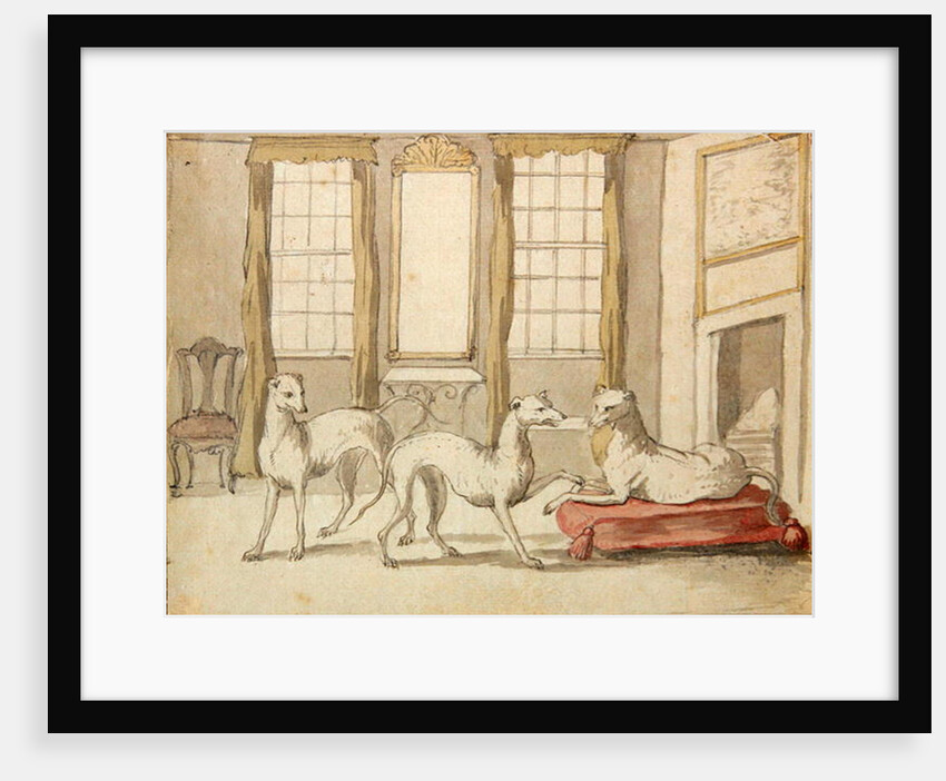 Three Greyhounds in a room by Pieter Casteels