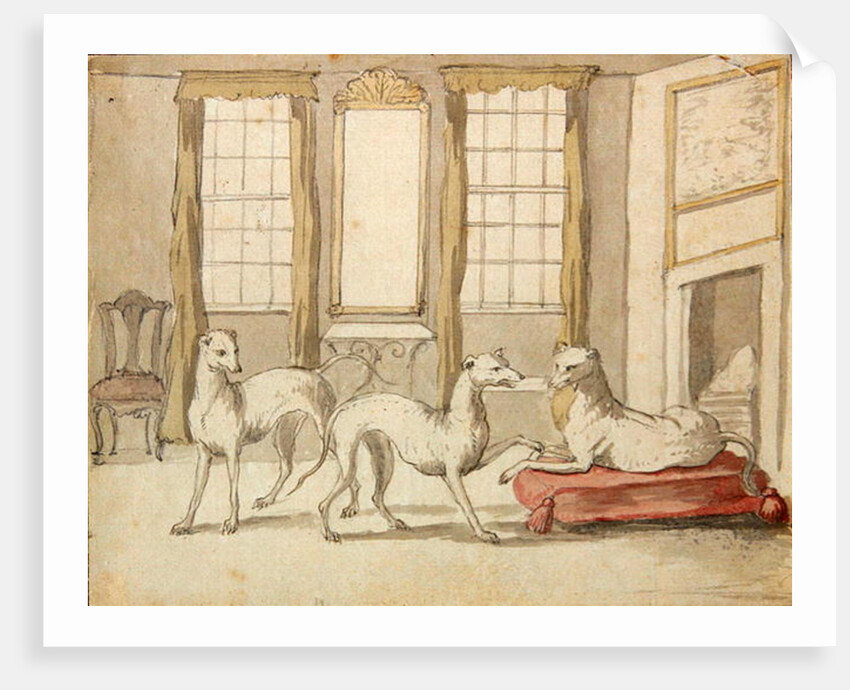 Three Greyhounds in a room by Pieter Casteels