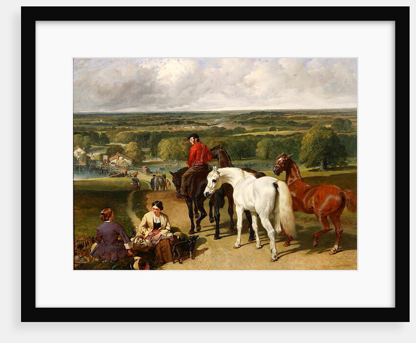 Exercising the royal horses, 1847-55 by John Frederick Herring Snr
