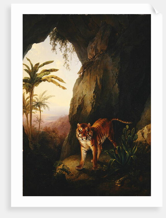 Tiger in a cave, c.1814 by Jacques-Laurent Agasse