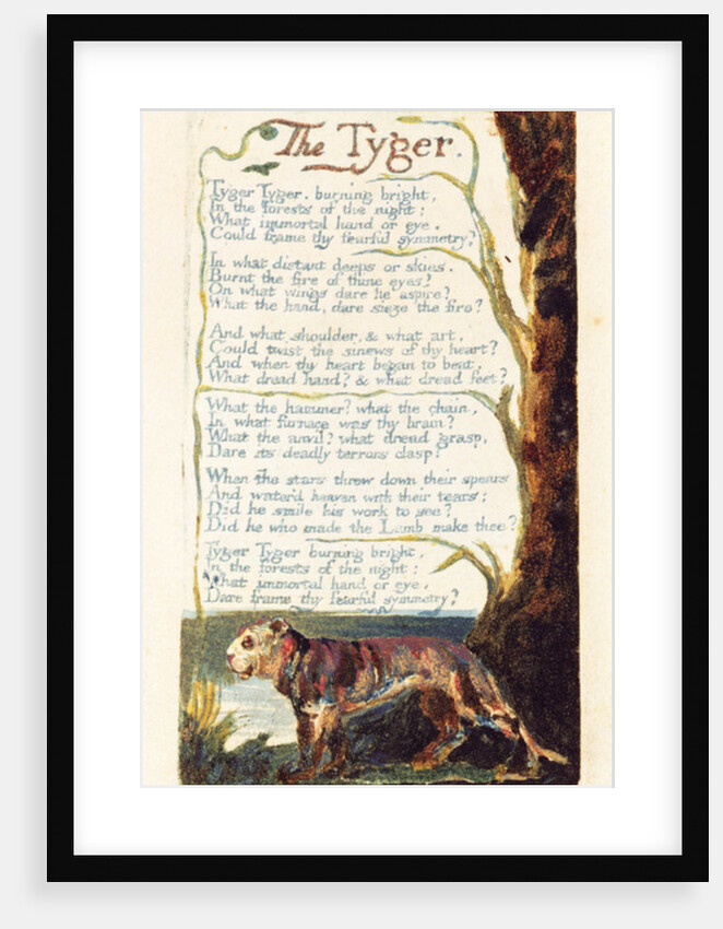 The Tyger by William Blake