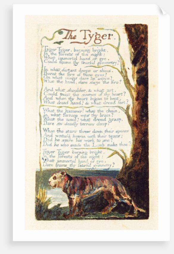 The Tyger by William Blake