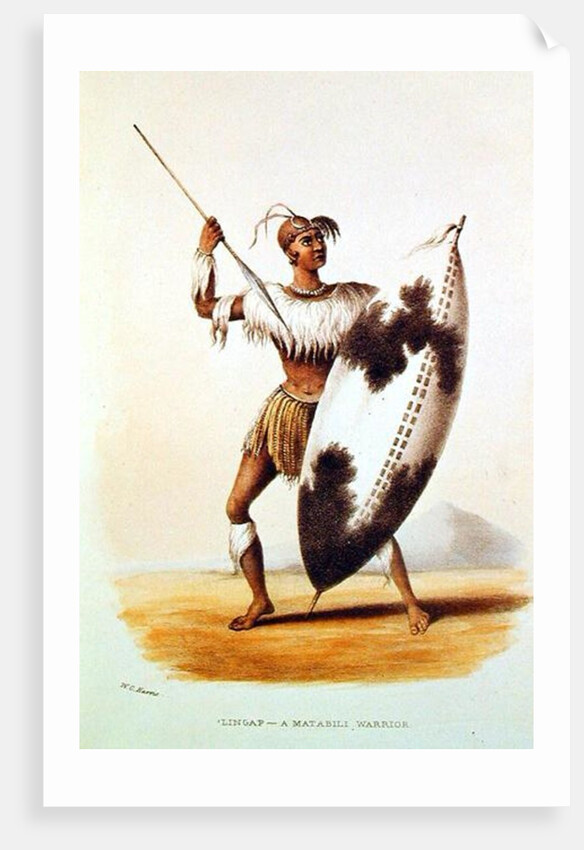 Lingap, a Matabili Warrior by William Cornwallis Harris