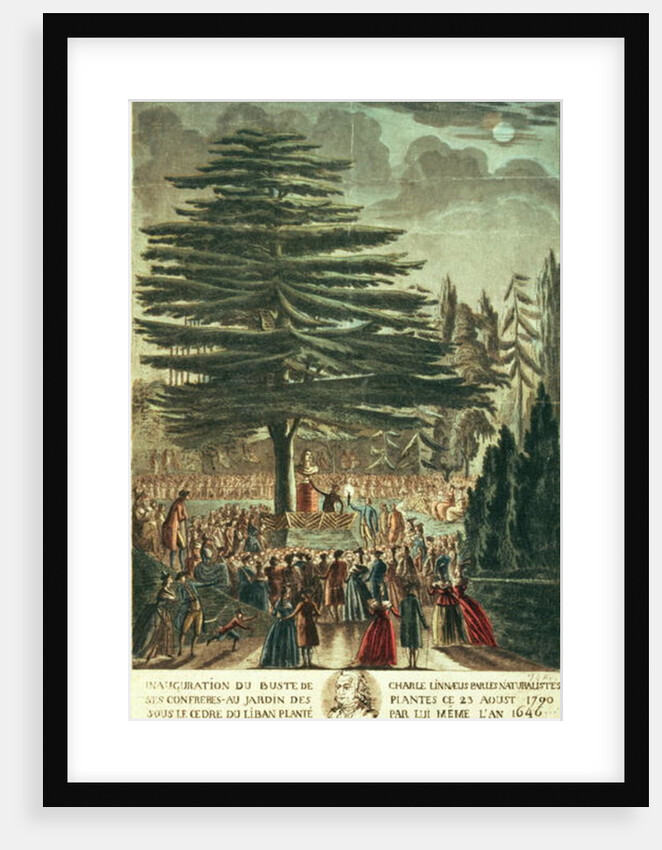 Inauguration of the bust of Carl Linnaeus in the Jardin des Plantes, underneath the Cedar of Lebanon which he planted in 1646, 23rd August 1790 by French School