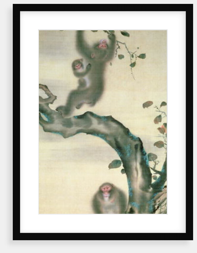 Family of Monkeys in a Tree by School Japanese