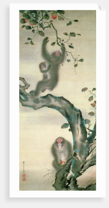 Family of Monkeys in a Tree by School Japanese