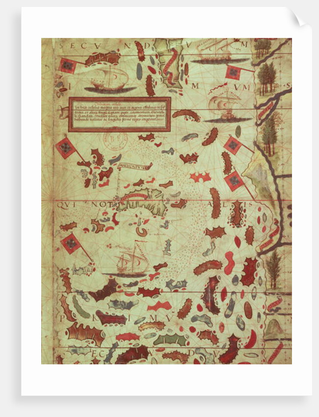 The Moluccas, page from a portolan atlas by Lopo Homem and Pedro Reinel, c.1519 by Anonymous