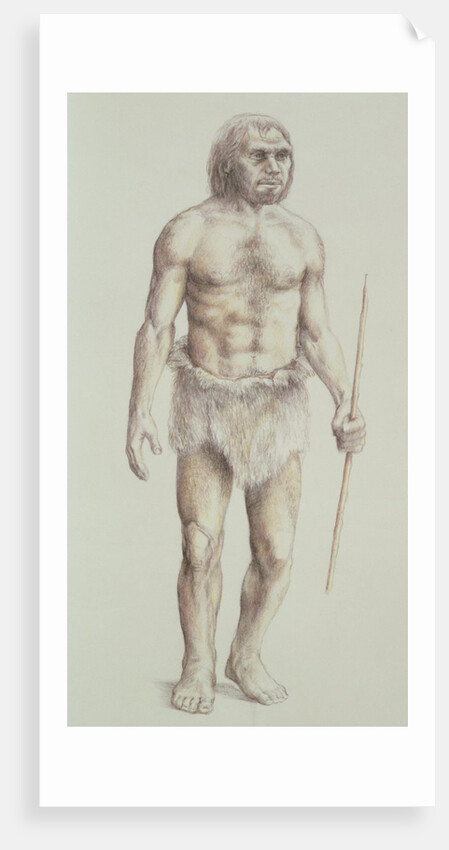 Neanderthal Man by English School
