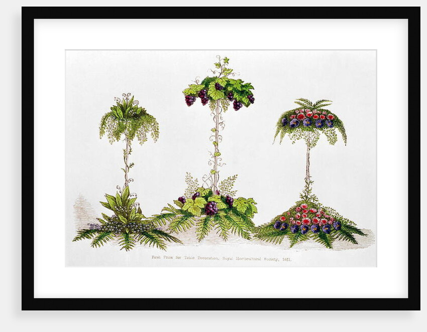 First Prize for Table Decoration, Royal Horticultural Society, 1851 by English School