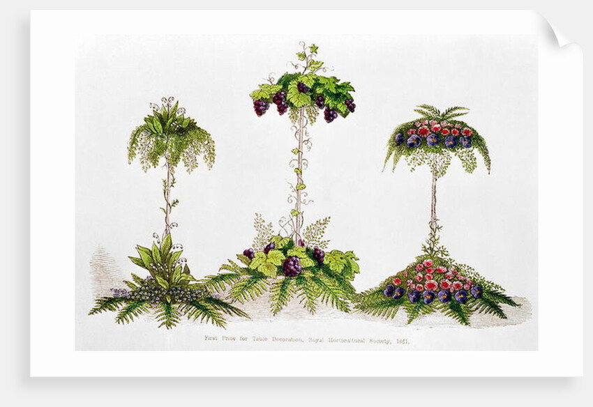 First Prize for Table Decoration, Royal Horticultural Society, 1851 by English School