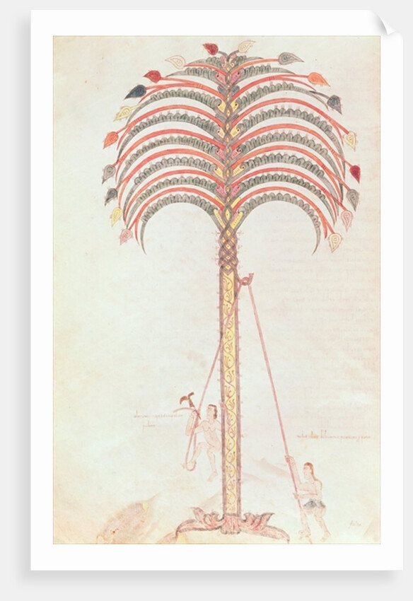 Fol.147v The Metaphor of the Palm Tree by Spanish School