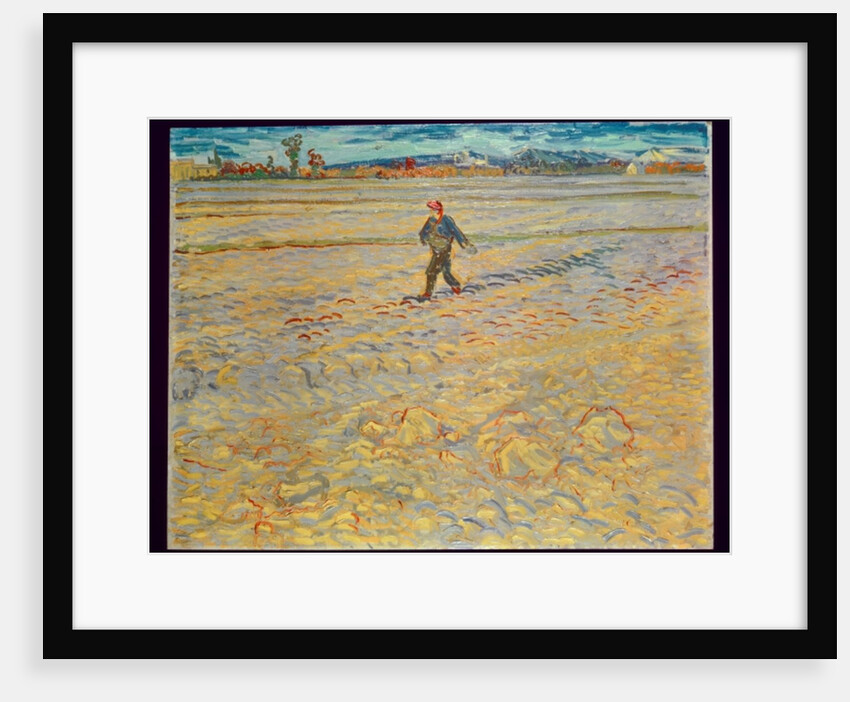 The Sower, 1888 by Vincent van Gogh