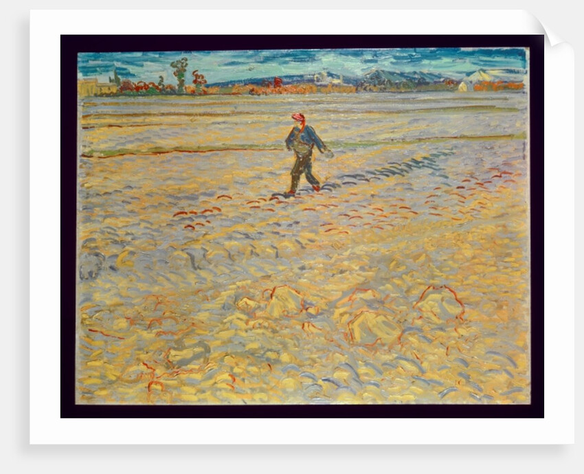 The Sower, 1888 by Vincent van Gogh