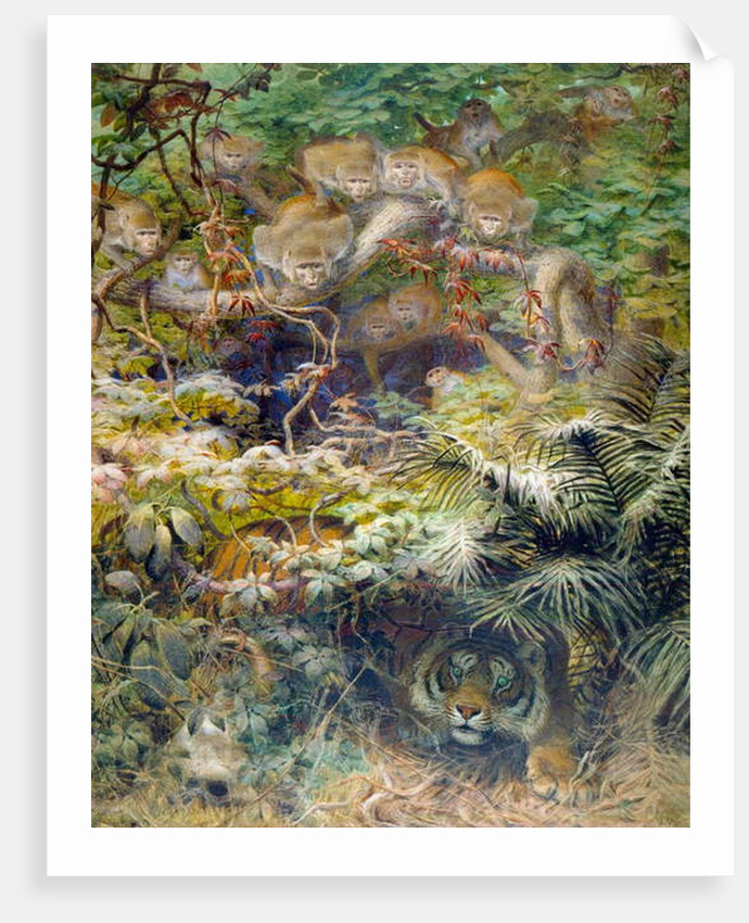 Row in the Jungle, 1863 by Joseph Wolf