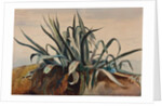 Study of an agave, with additions by a Borbone pupil by Giacinto Gigante