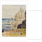 At San Remo looking over the Mediterranean, 10th January 1878 by George Douglas Tinling