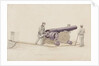 Whitworth's Rifle-Cannon, c.1860 by Unknown Artist
