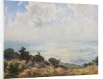 East Hill, Hastings - early morning by Thomas William Morley