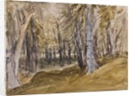 Trees on Box Hill by David Cox