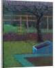 Apple Tree, late winter, 2018 by Marco Cazzulini