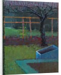 Apple Tree, late winter, 2018 by Marco Cazzulini
