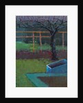 Apple Tree, late winter, 2018 by Marco Cazzulini