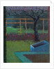 Apple Tree, late winter, 2018 by Marco Cazzulini