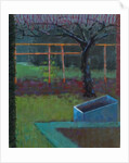 Apple Tree, late winter, 2018 by Marco Cazzulini