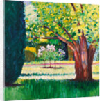 Summer, 2010 by Marco Cazzulini