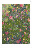 Camellia in Flower, 2014 by Leigh Glover
