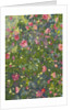 Camellia in Flower, 2014 by Leigh Glover