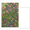 Camellia in Flower, 2014 by Leigh Glover