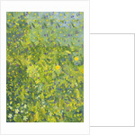 Woodland Opening, 2014 by Leigh Glover