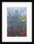 Witch Hazel in Flower, 2015 by Leigh Glover