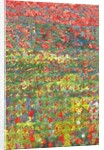 Poppies, 2012 by Leigh Glover