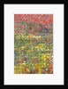 Poppies, 2012 by Leigh Glover