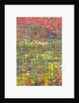 Poppies, 2012 by Leigh Glover