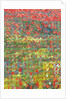 Poppies, 2012 by Leigh Glover