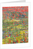Poppies, 2012 by Leigh Glover