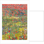 Poppies, 2012 by Leigh Glover