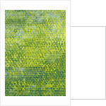 Daffodils, 2012 by Leigh Glover