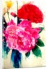 Peony and Poppy, 2014 by AlyZen Moonshadow