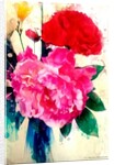 Peony and Poppy, 2014 by AlyZen Moonshadow