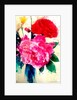 Peony and Poppy, 2014 by AlyZen Moonshadow