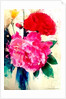 Peony and Poppy, 2014 by AlyZen Moonshadow