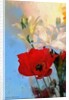 Poppy on blue, 2014 by AlyZen Moonshadow
