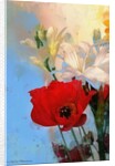 Poppy on blue, 2014 by AlyZen Moonshadow